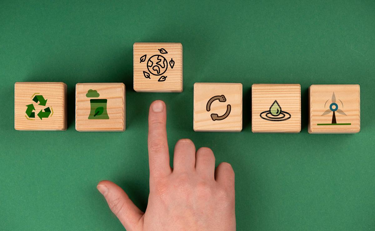 Sustainable Procurement, Supply Chain
